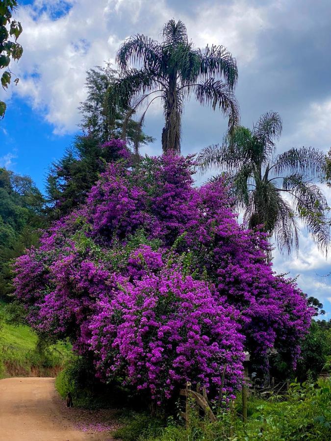 Alagoa Canto Das Aguas מראה חיצוני תמונה